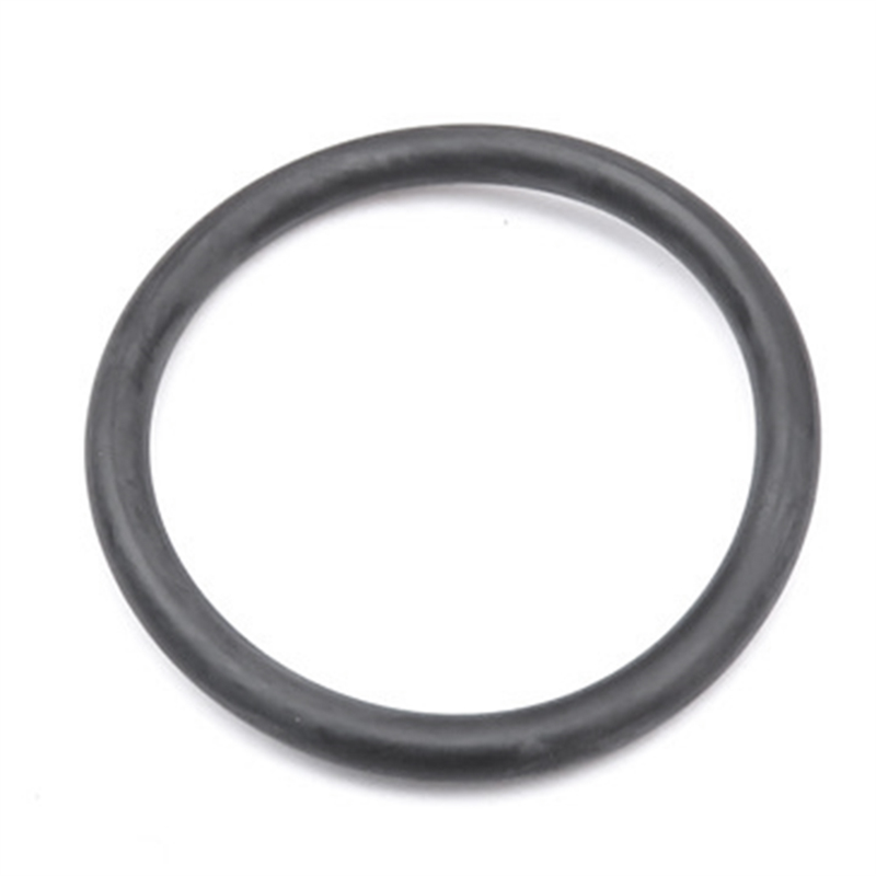 Harnais de plongée DIR, porte- - Dive Weight Belt avis et prix